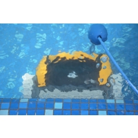 Odkurzacz basenowy Dolphin E20 + Przegląd gratis